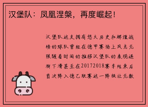 汉堡队：凤凰涅槃，再度崛起！